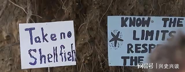 九游官方正版-大规模抗议爆发, 针对华人! 本地人在海边用中文横幅抵制!