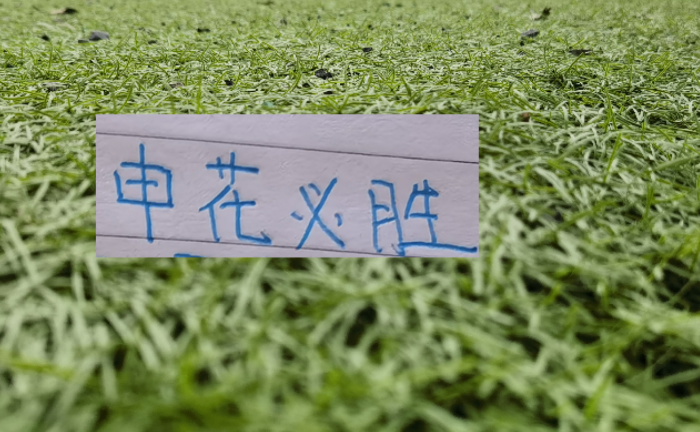 九游会-第8轮中超未扣分纯净版！可能才是申花球迷最想要积分榜